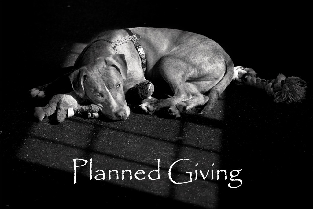 Planned giving2