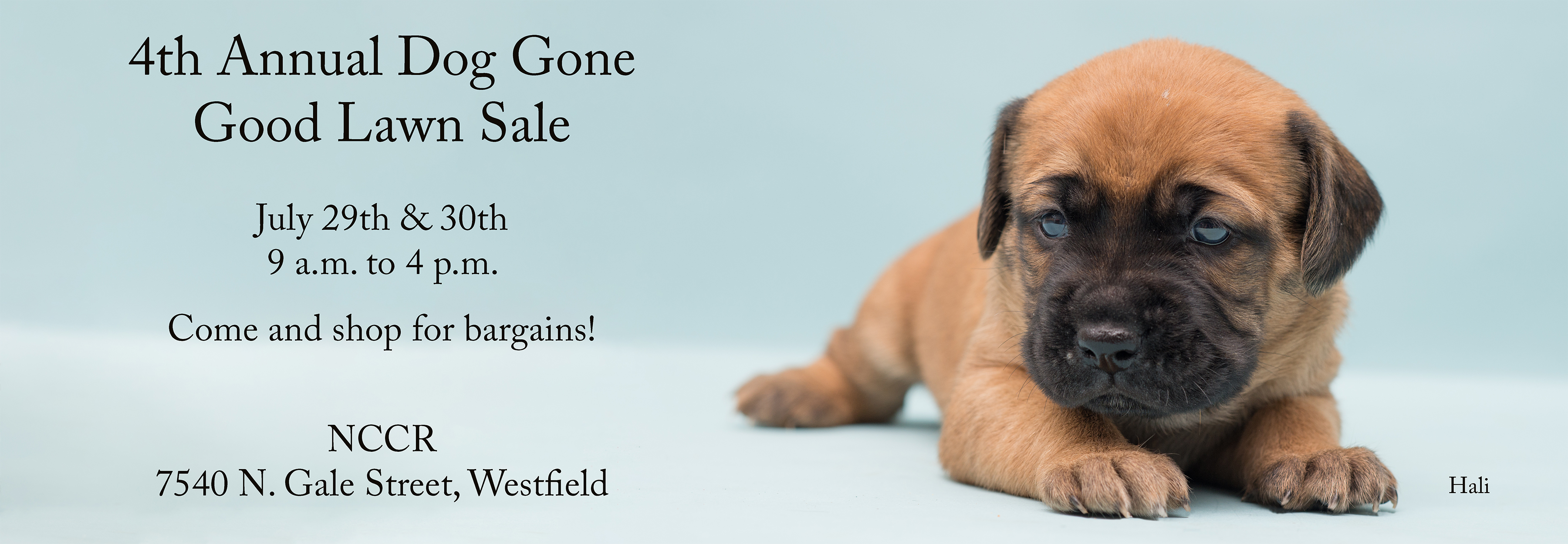 lawn sale banner Northern Chautauqua Canine Rescue