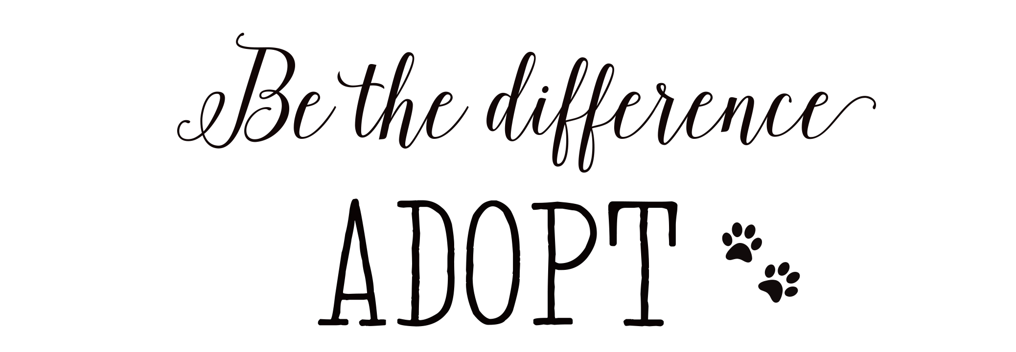 Adopt, don’t shop and this is why…