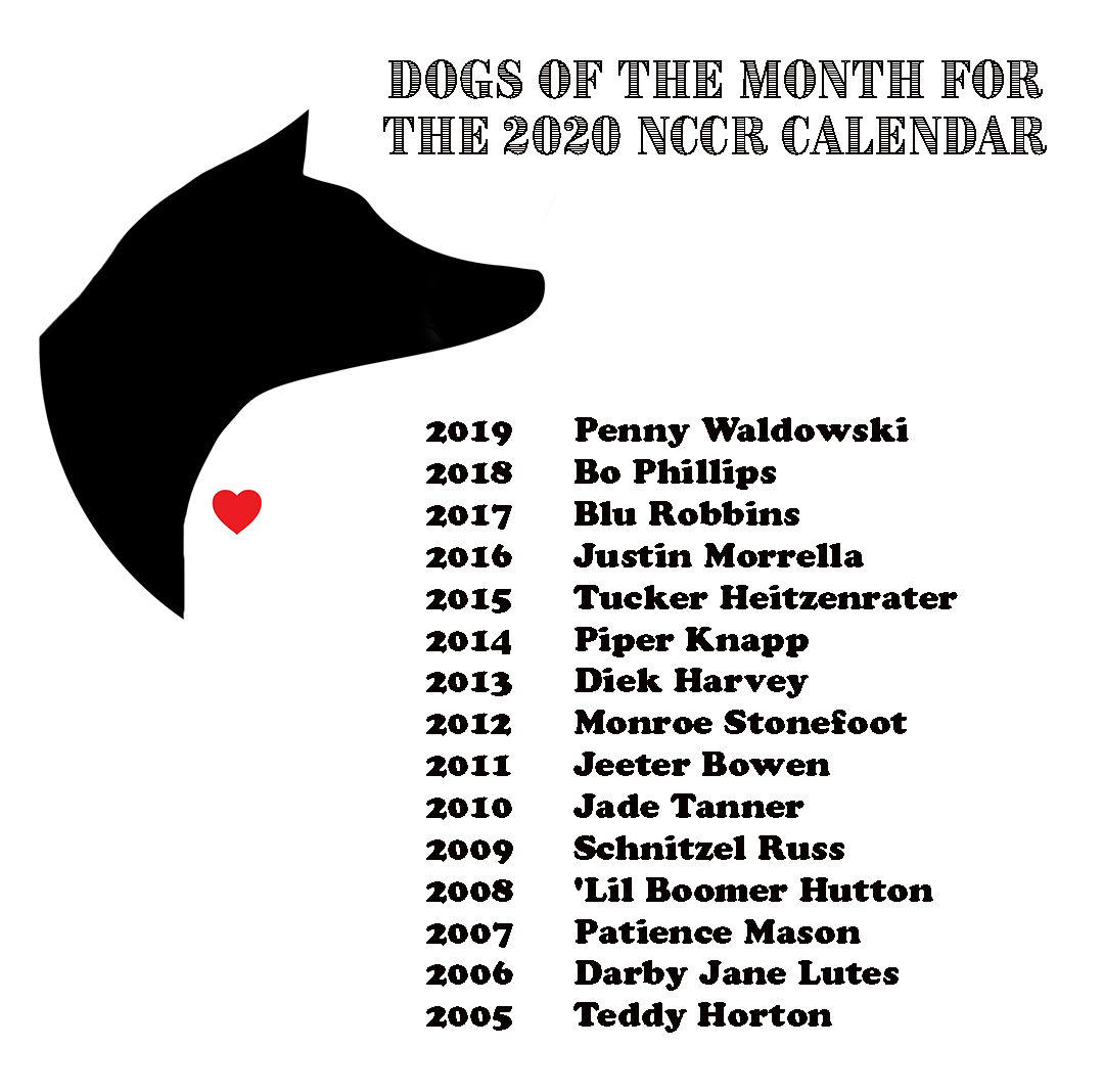 2020 Dogs of the month