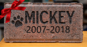 new brick with bow
