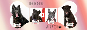 life is better banner