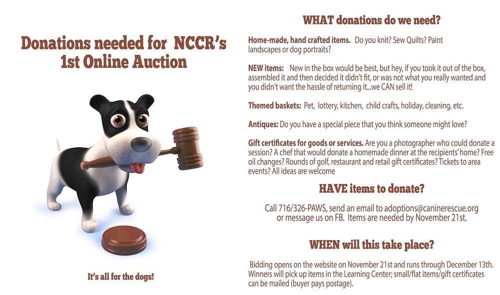 NCCR Annual
      Auction