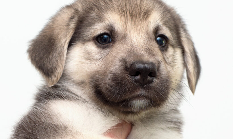 River-Adopted!