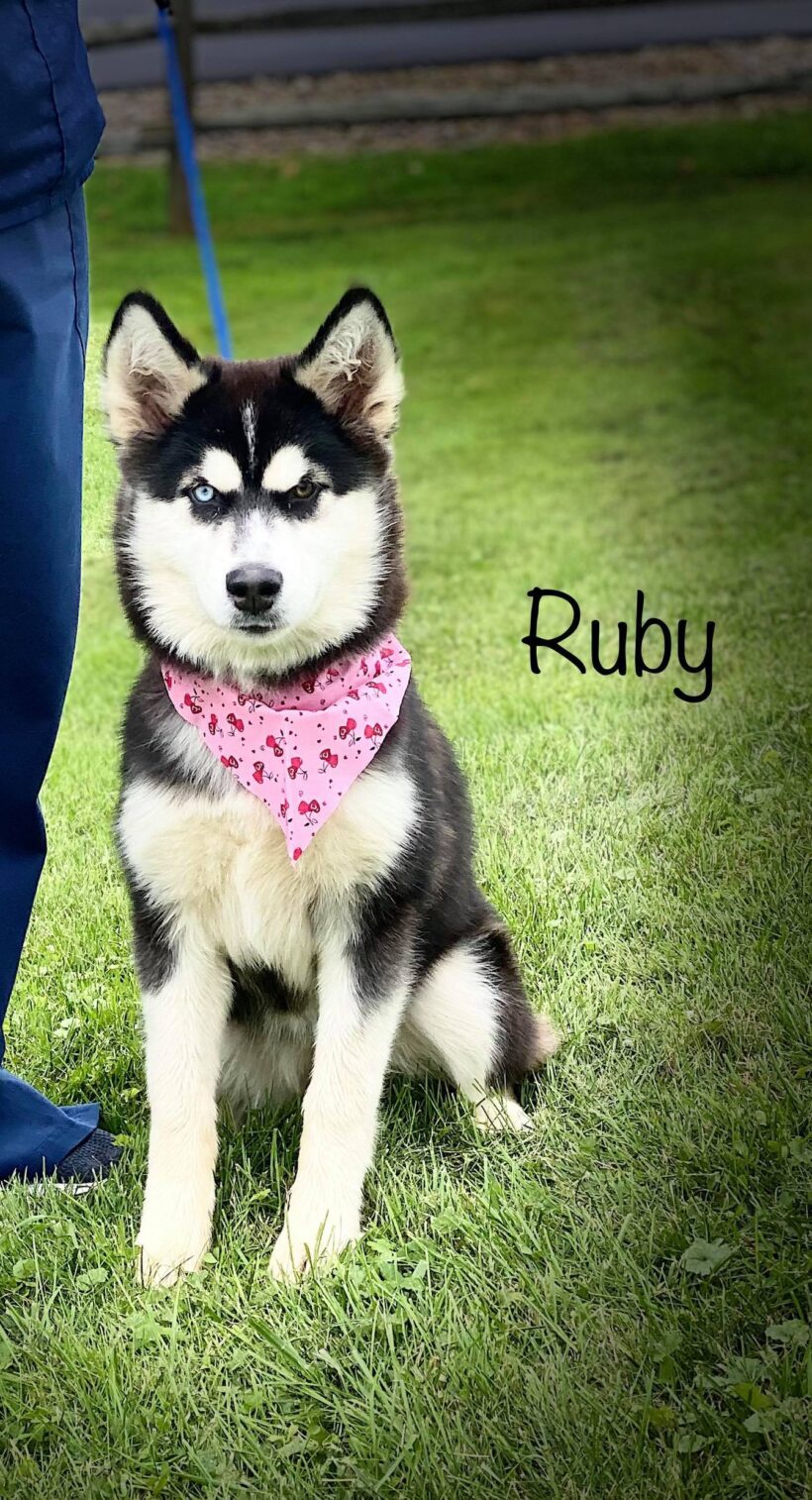 Ruby-Adopted!