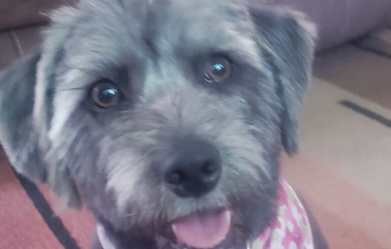 Millie