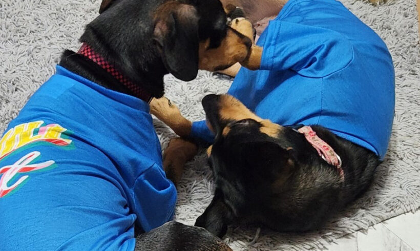 Teenie and Sammie