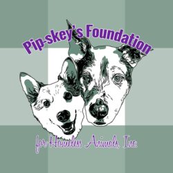Pip-skey’s Foundation Donation