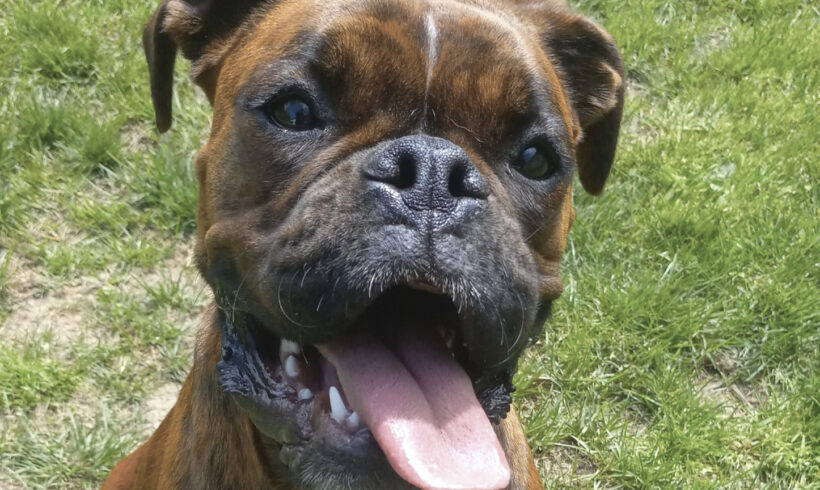 Molly Alice-Adopted!