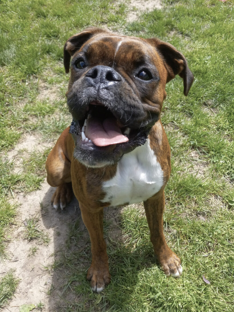 Molly Alice-Adopted!