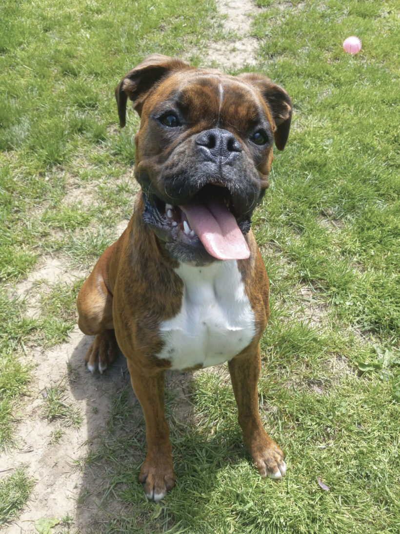 Molly Alice-Adopted!