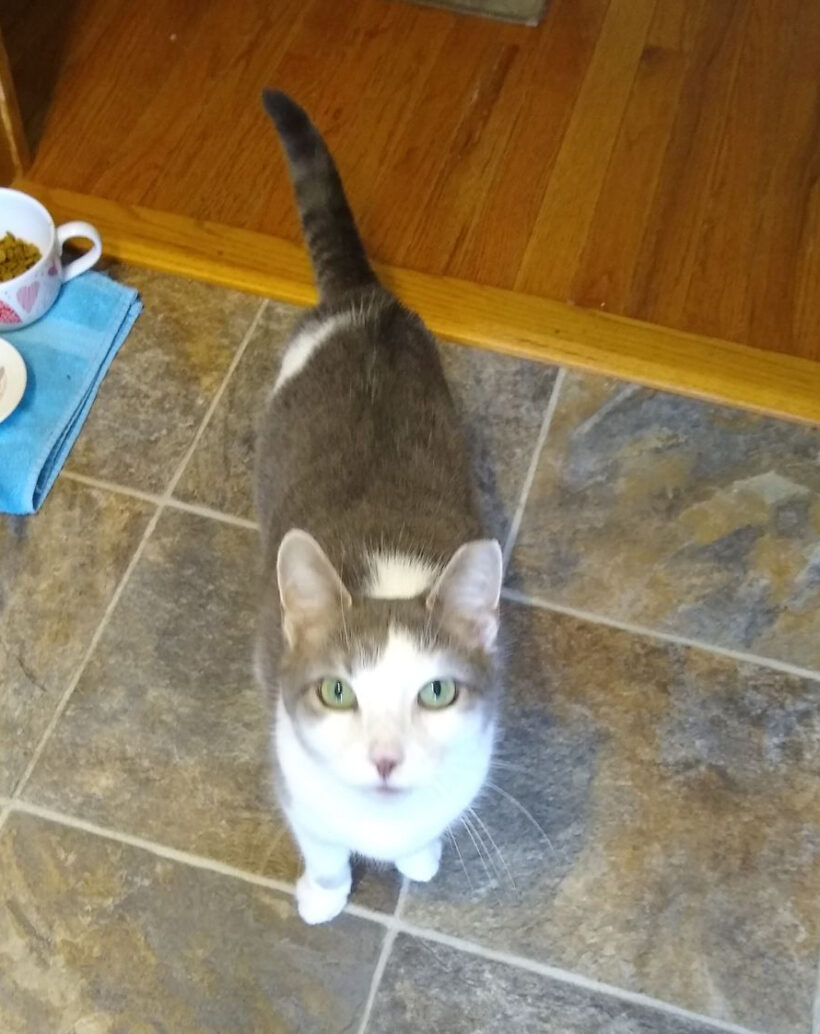 Carson-Found a Home!
