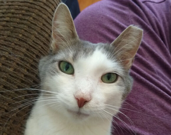 Carson-Found a Home!