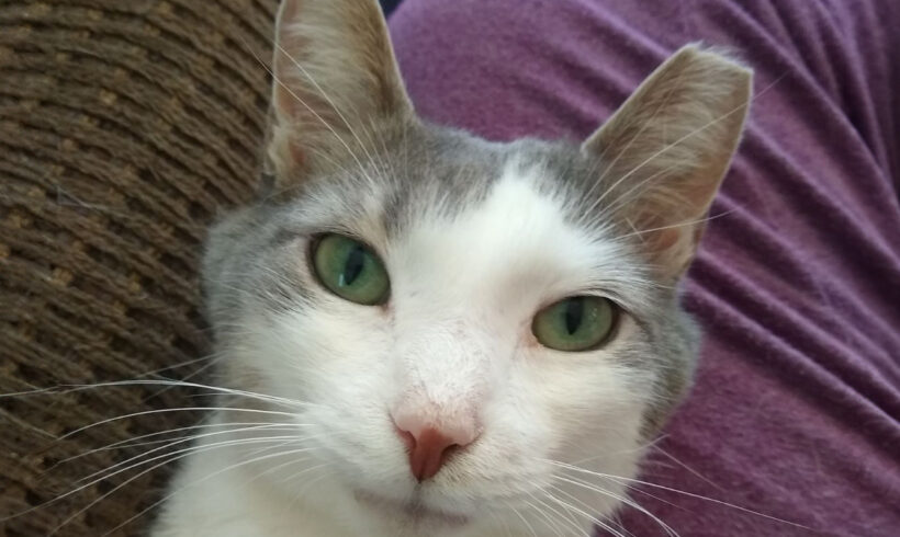 Carson-Found a Home!