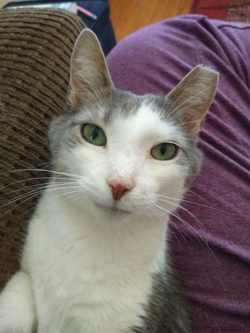 Carson-Found a Home!