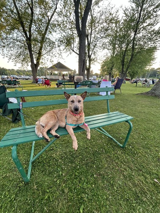 Meg-Adopted!