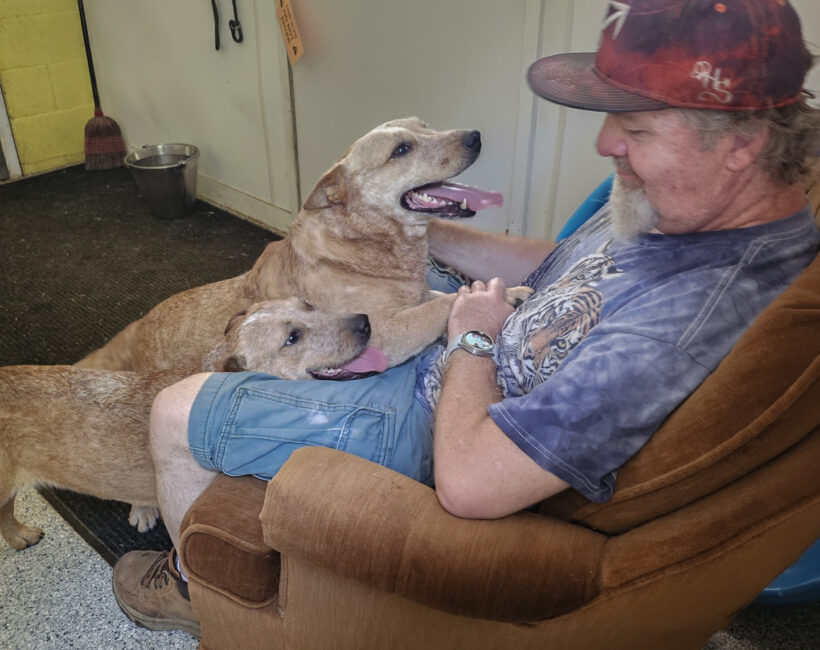 Meg-Adopted!