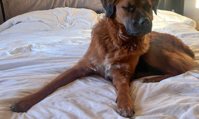 Ernie
