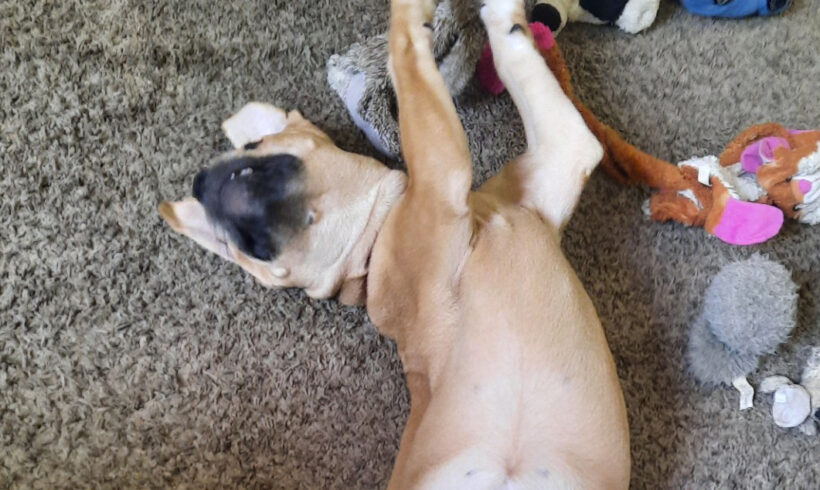 Mia