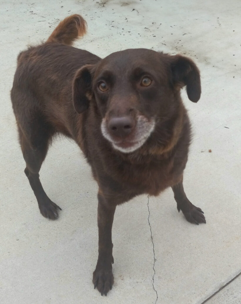 Sally O’Malley-Adopted! Sally O’Malley-Adopted!