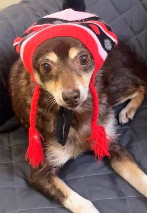 Baby Girl-Adopted! Baby Girl-Adopted!