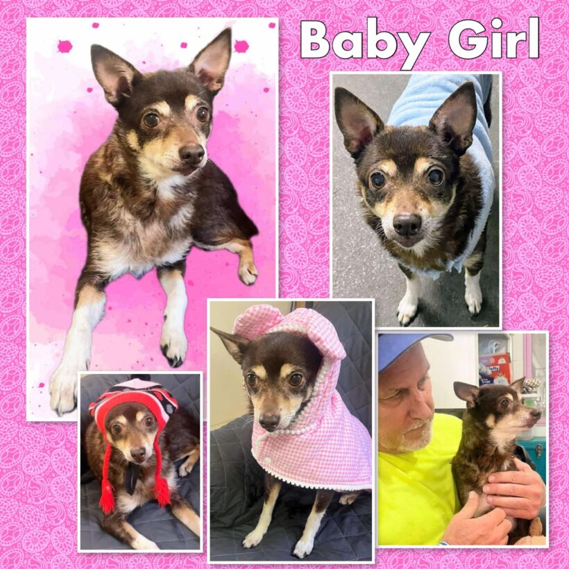 Baby Girl-Adopted! Baby Girl-Adopted!