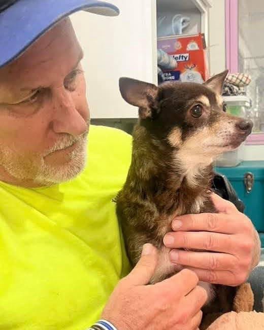 Baby Girl-Adopted! Baby Girl-Adopted!