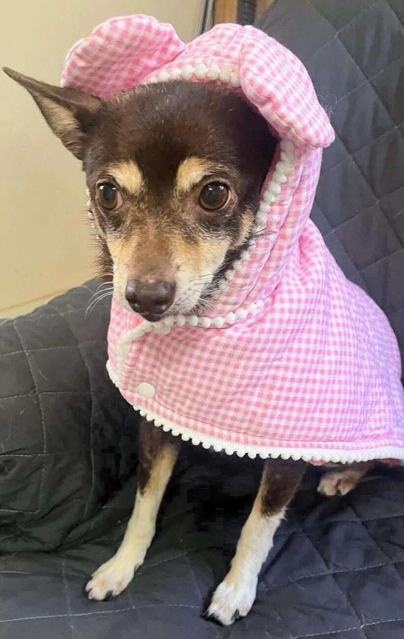 Baby Girl-Adopted! Baby Girl-Adopted!