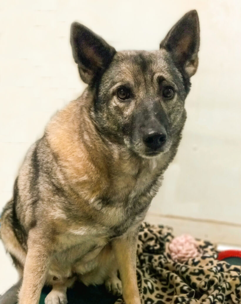 Beauty-Adopted!