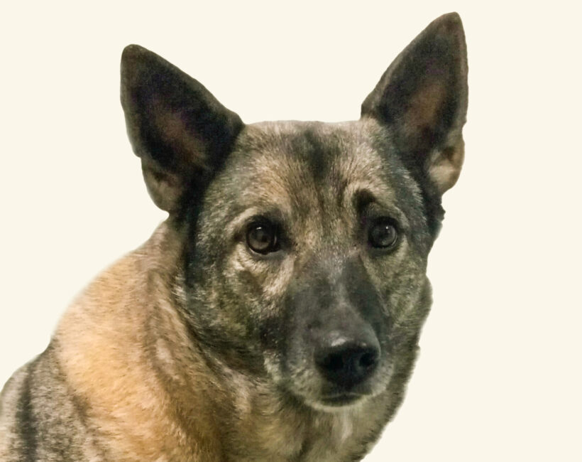 Beauty-Adopted!