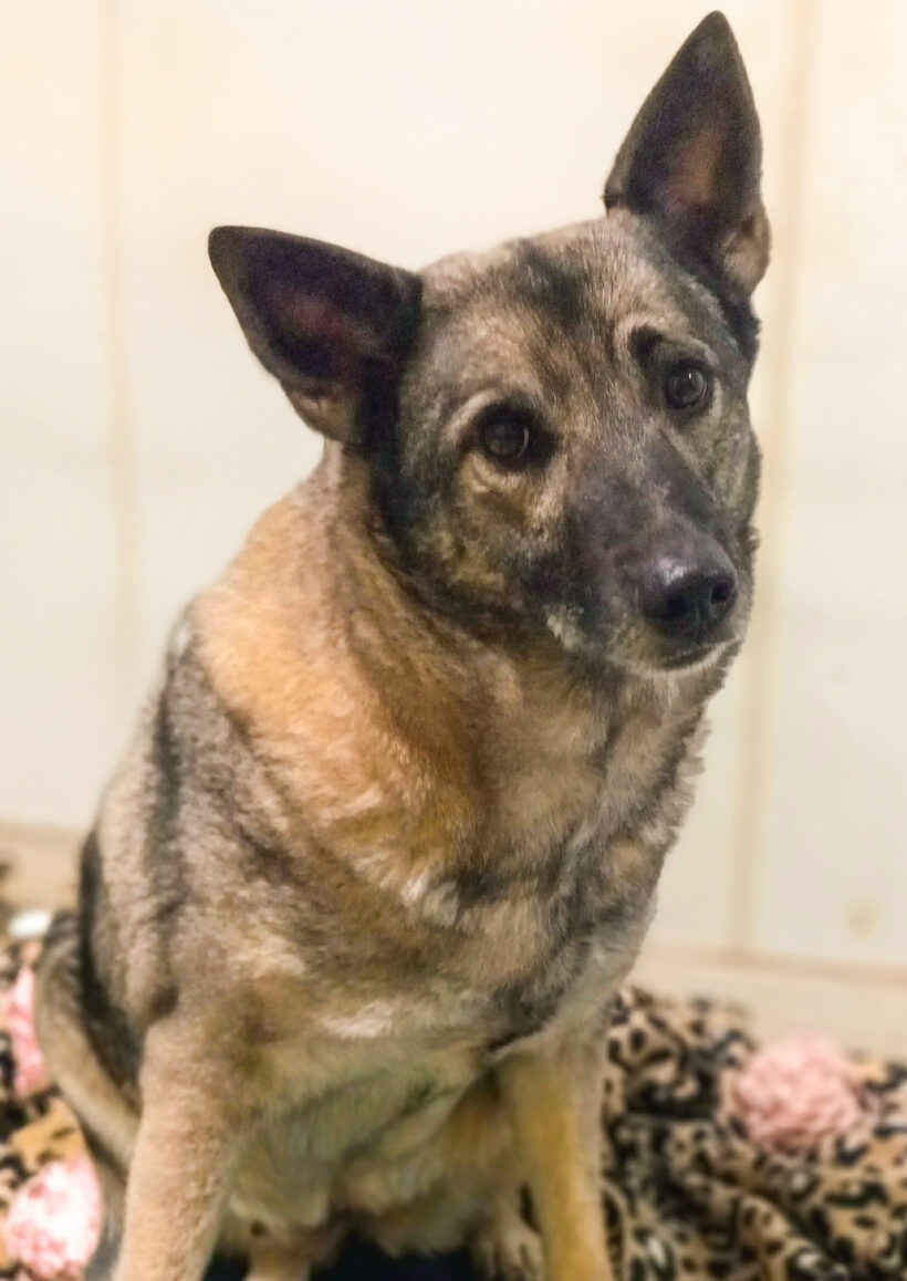 Beauty-Adopted!