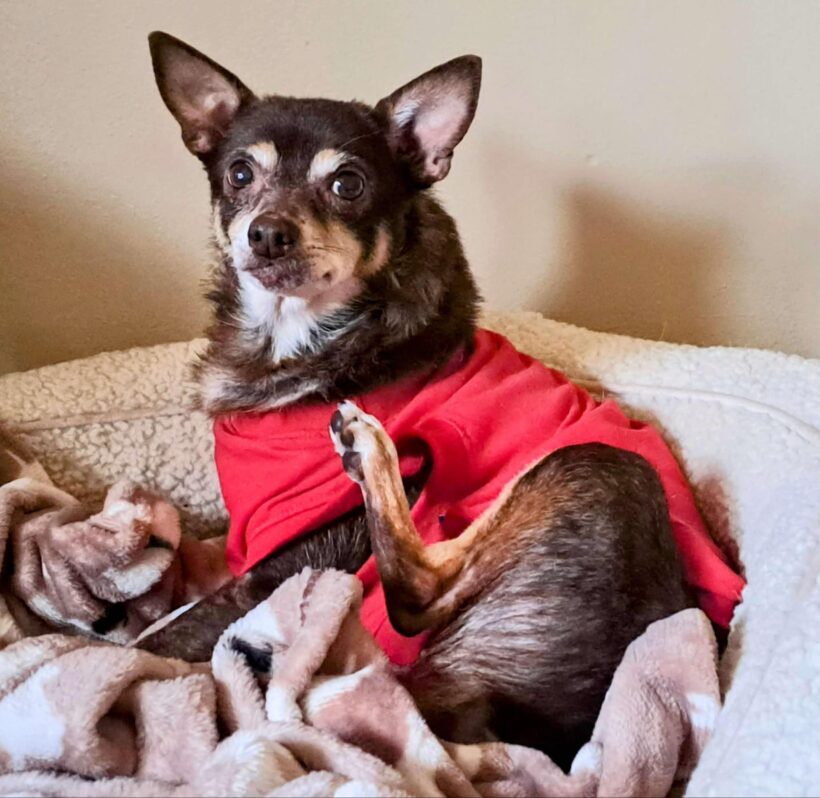 Baby Girl-Adopted! Baby Girl-Adopted!