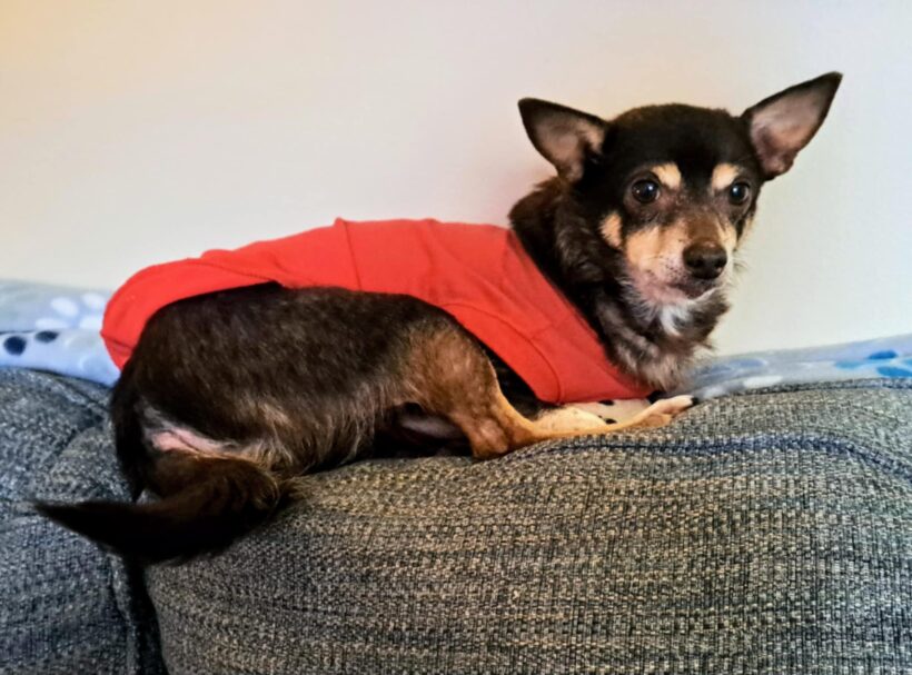 Baby Girl-Adopted! Baby Girl-Adopted!