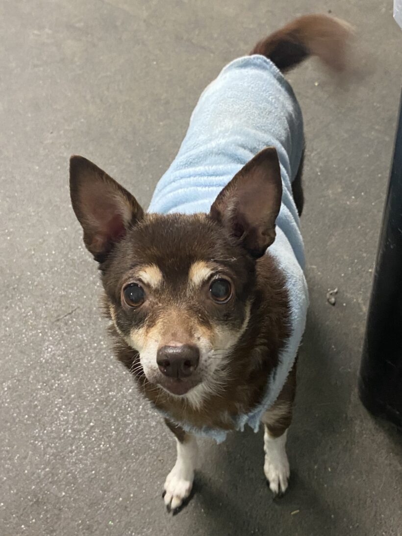 Baby Girl-Adopted! Baby Girl-Adopted!