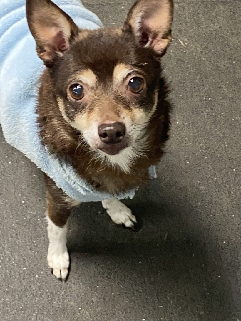 Baby Girl-Adopted! Baby Girl-Adopted!