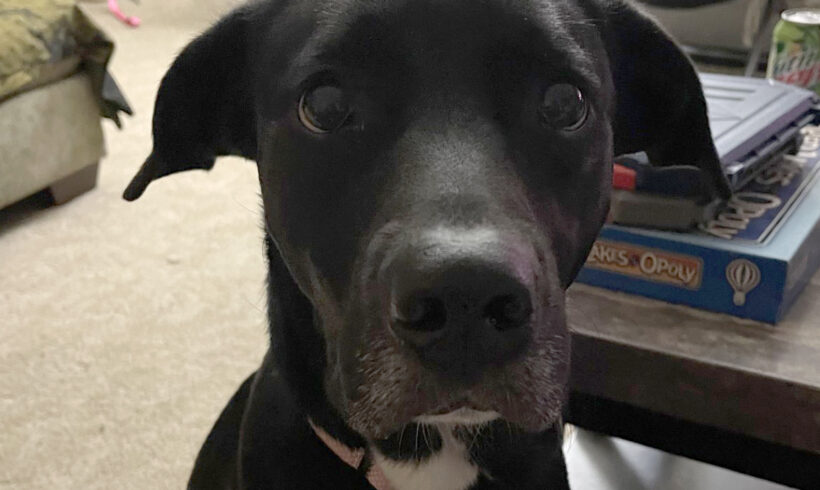 Sadie