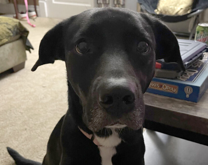 Sadie