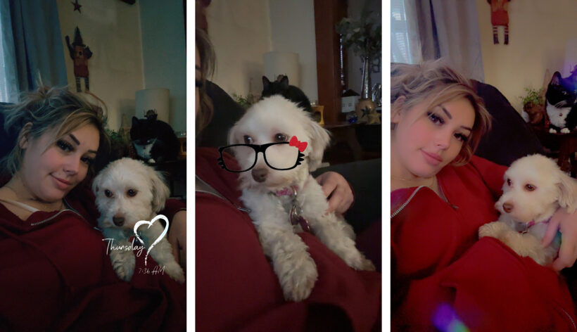Gidget