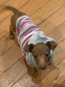 Jenny-Adopted! Jenny-Adopted!