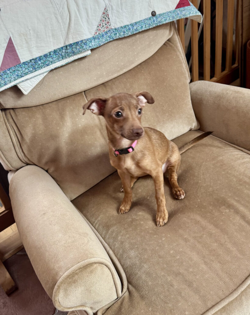 Jenny-Adopted! Jenny-Adopted!