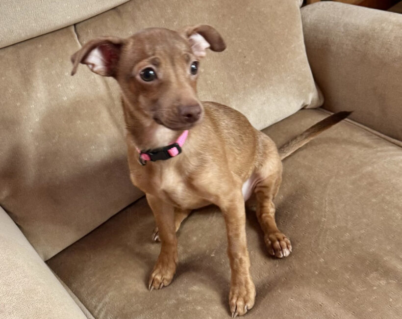 Jenny-Adopted! Jenny-Adopted!