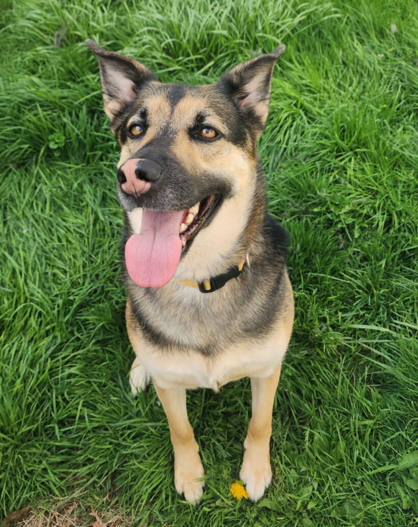 Nadiya-Adopted!