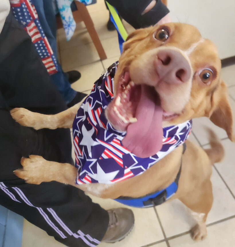 Tug-Adopted!