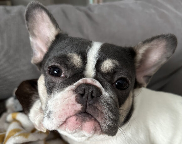 Betty