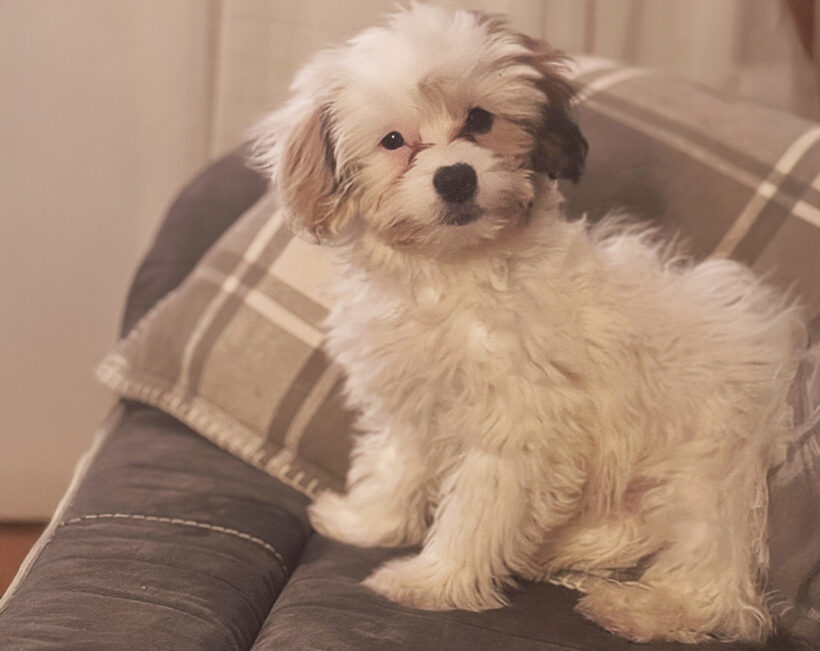 Marley