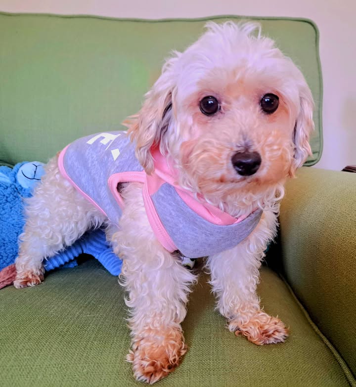 Zanna-Adopted!
