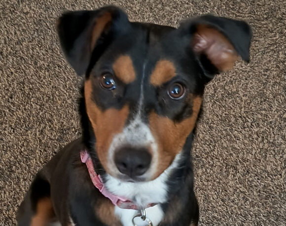 Mara