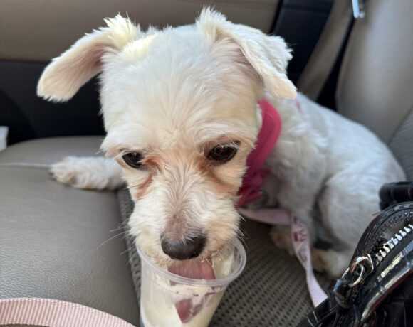 Millie