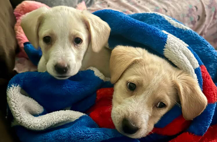Buster and Violet