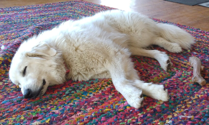 Winnie